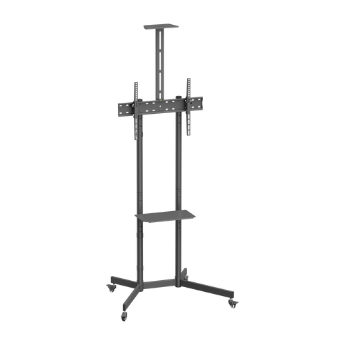 Mounts & Stands